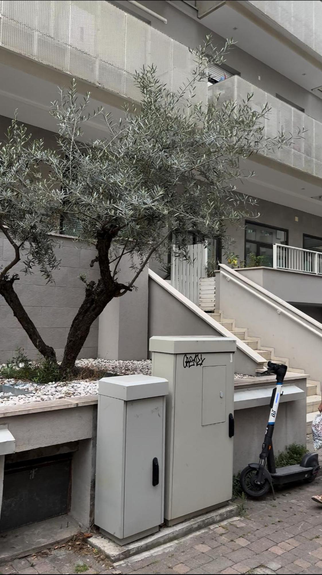 Apartamento Rimini Marina Exterior foto